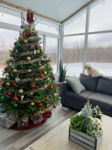 christmas tree and couch in corner of sunroom